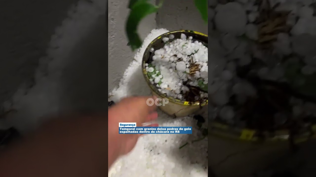 Temporal com granizo deixa pedras de gelo espalhadas dentro de chácara no RS