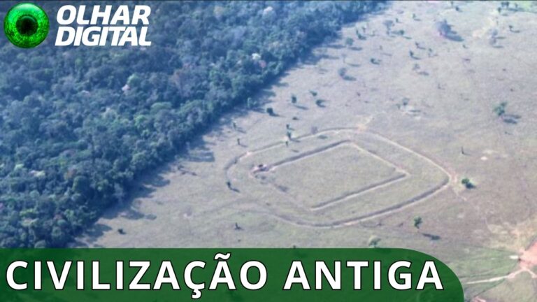 Amazônia: descoberta revela civilização perdida sob a floresta