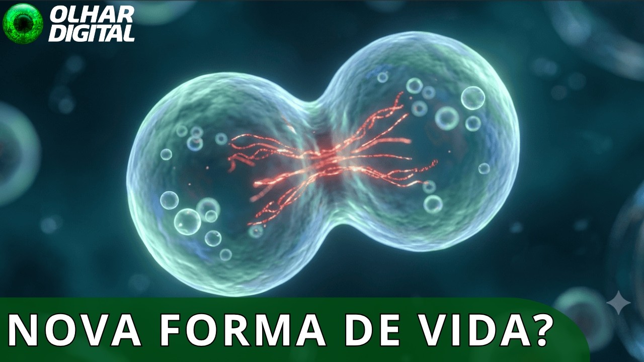 Cientistas desenvolvem célula sintética que se reproduz sozinha