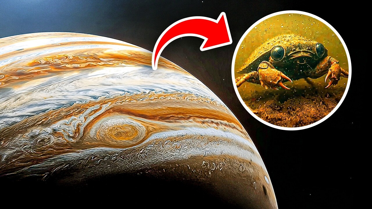 Cientistas explicaram como poderia ser a vida em Júpiter