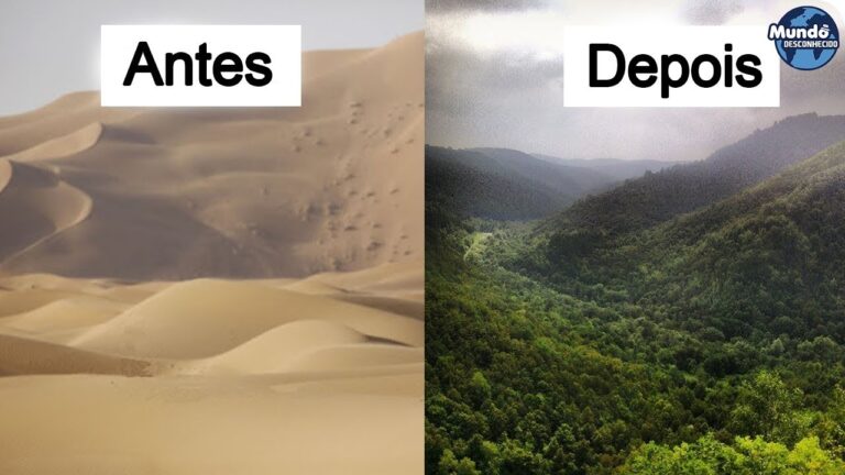 Como a China transformou o DESERTO em FLORESTAS VERDES