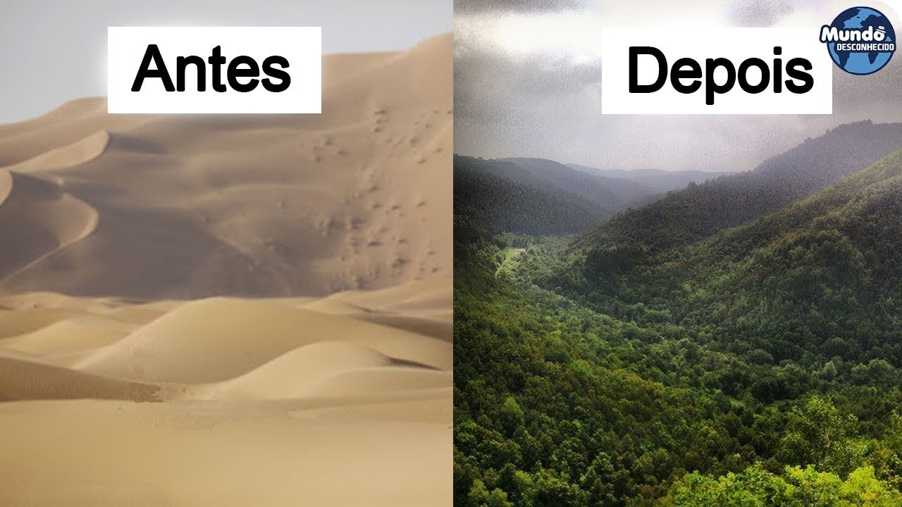 Como a China transformou o DESERTO em FLORESTAS VERDES