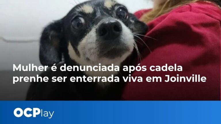 Mulher é denunciada por maus-tratos após cadela ser enterrada viva em Joinville