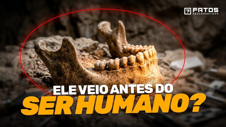 Esse é o Fóssil de 773 mil anos que muda a história HUMANA!