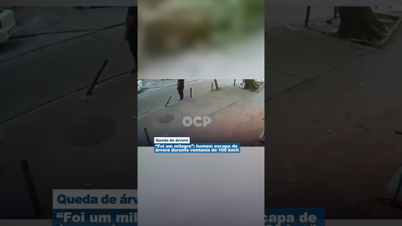 “Foi um milagre”: homem escapa de árvore durante ventania de 100 km/h