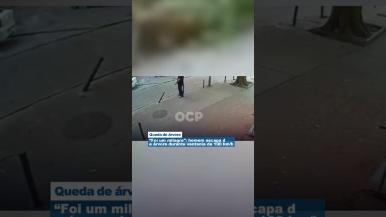 “Foi um milagre”: homem escapa de árvore durante ventania de 100 km/h