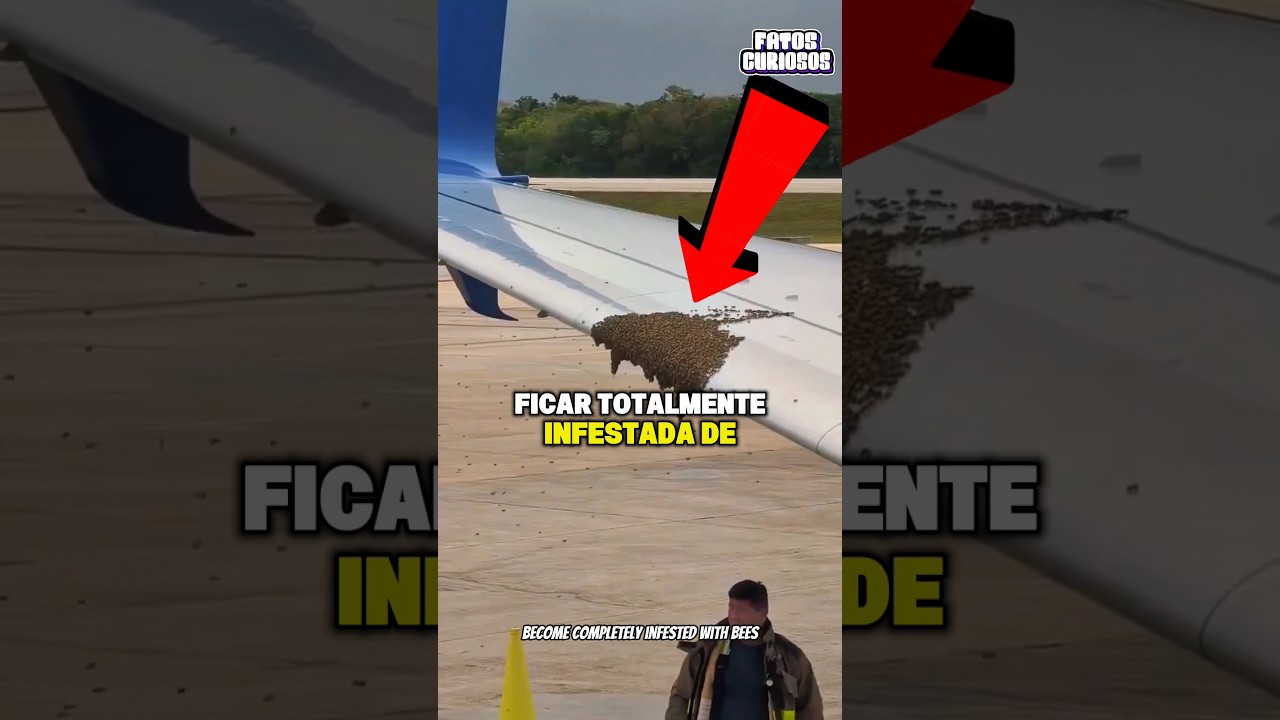 ESSE PILOTO CHOCOU A TODOS AO TIRAR AS ABELHAS DO SEU AVIÃO DE UMA FORMA INESPERADA