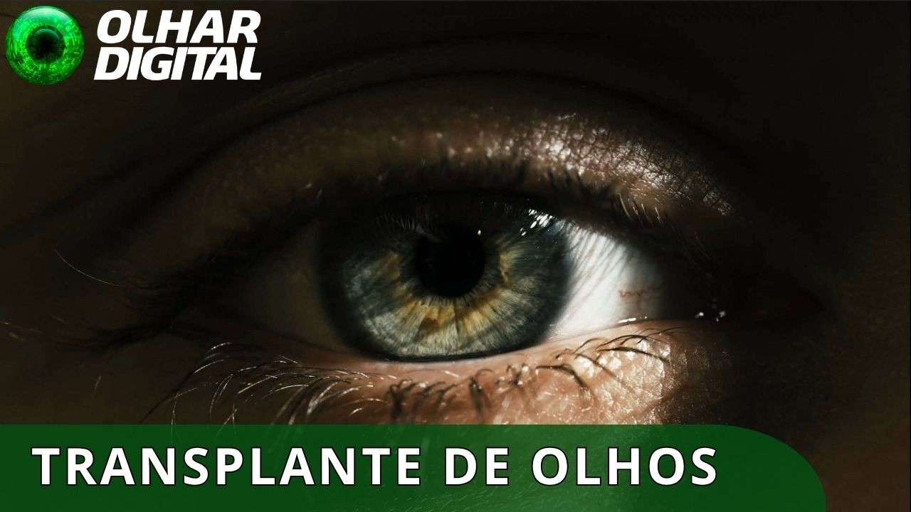 Nova tecnologia preserva olhos e pode viabilizar transplantes