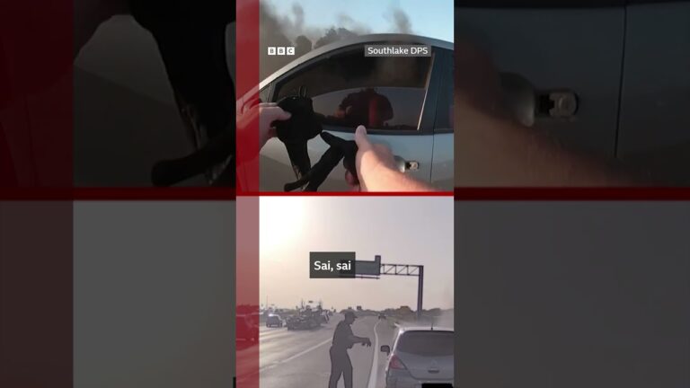 O momento em que policial salva homem de carro em chamas nos EUA