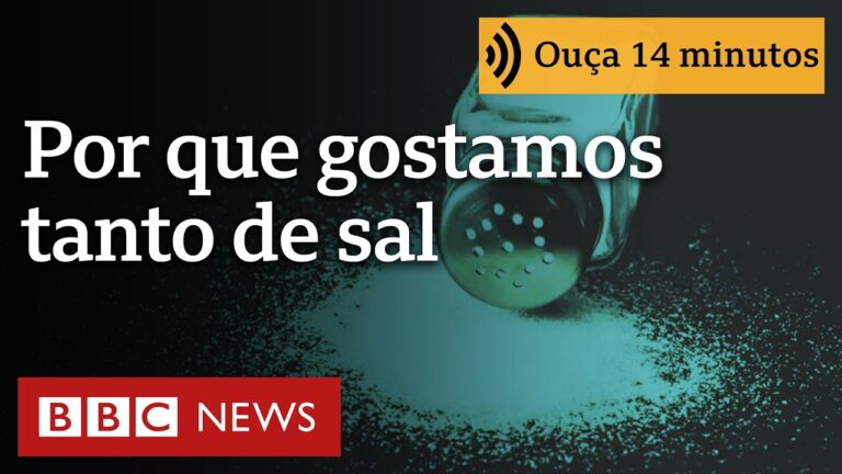 Por que o sal tem um efeito tão poderoso em nosso cérebro?