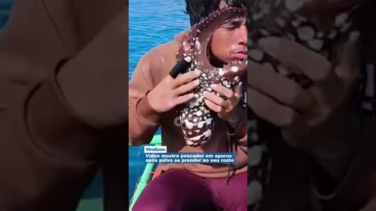 Vídeo mostra pescador em apuros após polvo se prender ao seu rosto