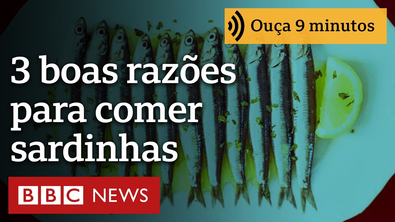 3 motivos por que as sardinhas são um alimento barato e ideal para sua saúde