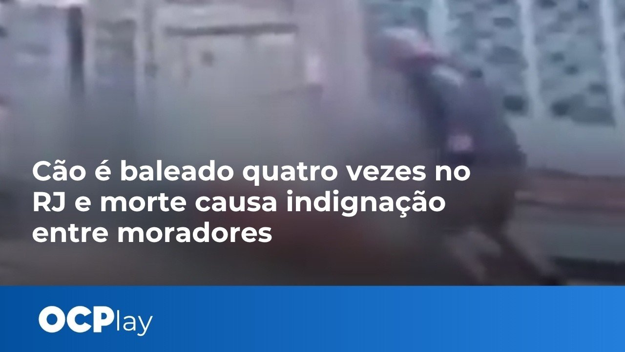 Cão é baleado quatro vezes no RJ e morte causa indignação entre moradores