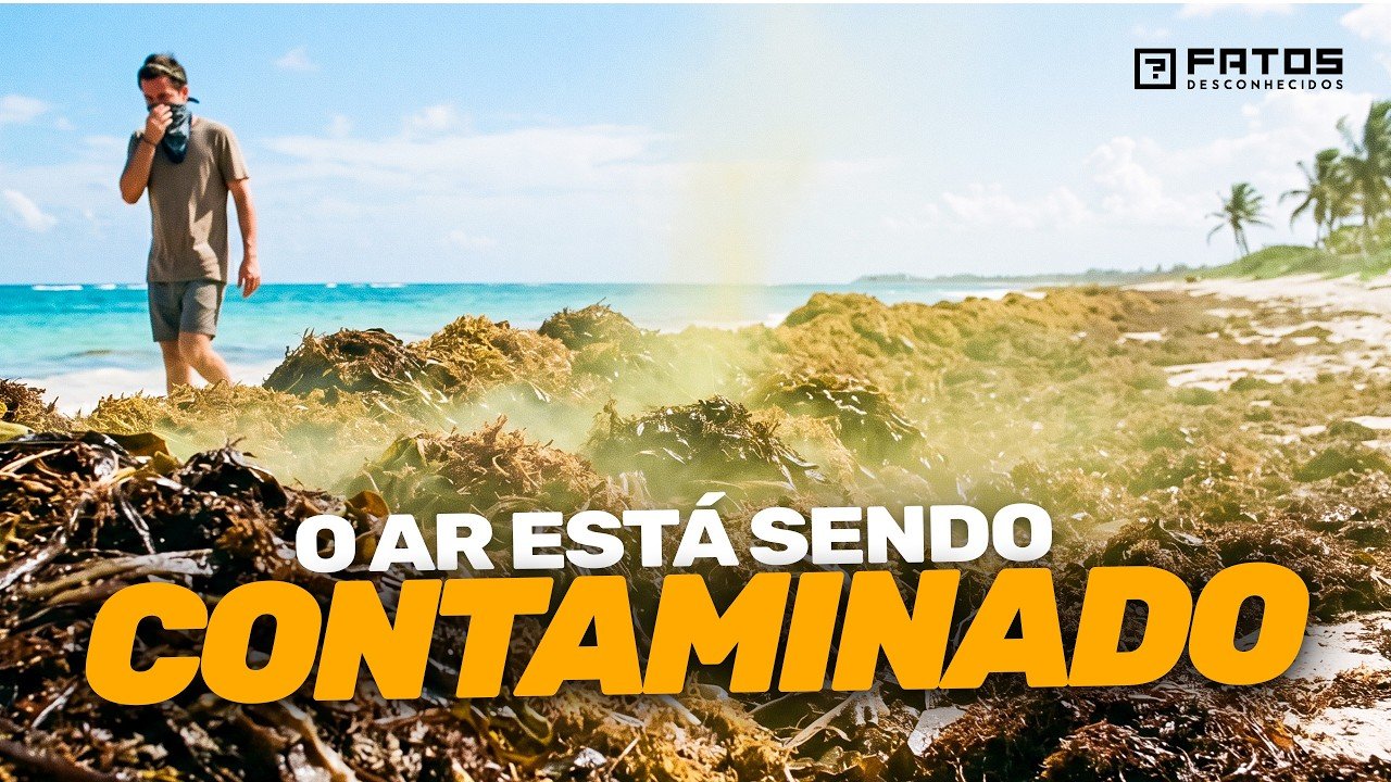 A Estrutura de 8.000 km que Está Mudando o Oceano