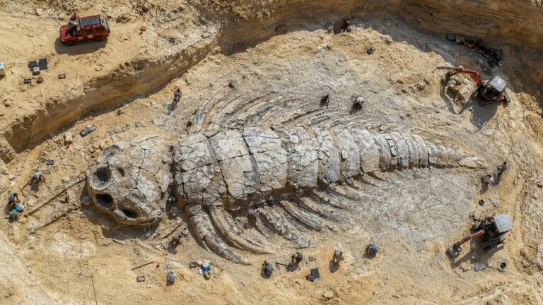 Cientistas encontraram um monstro de 506 milhões de anos no Canadá