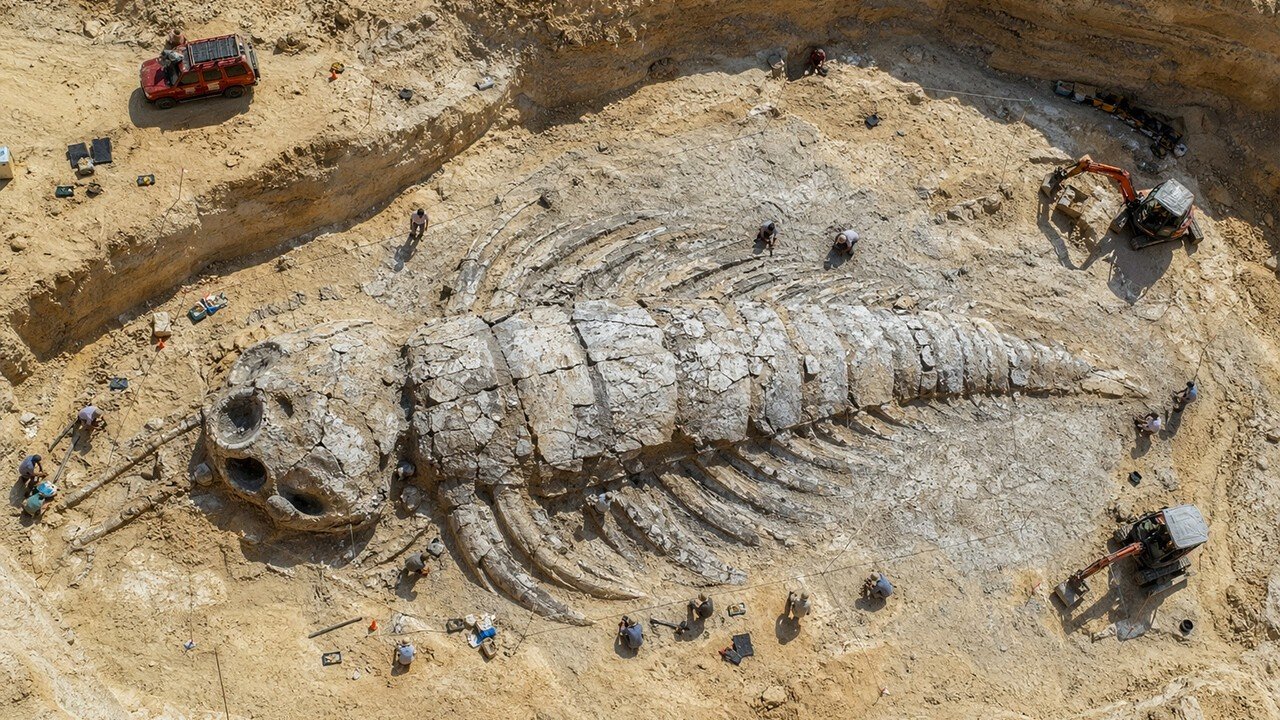 Cientistas encontraram um monstro de 506 milhões de anos no Canadá
