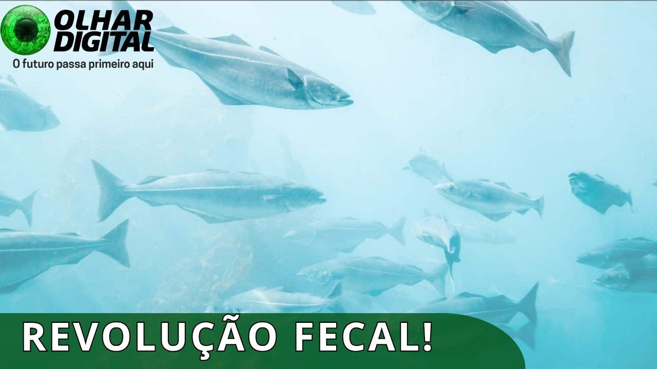 Como uma “explosão de fezes” ajudou a criar os oceanos modernos