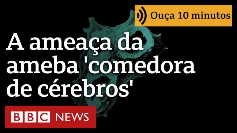 'Filme de terror': a ameba 'comedora de cérebros' que tem se espalhado pelo mundo