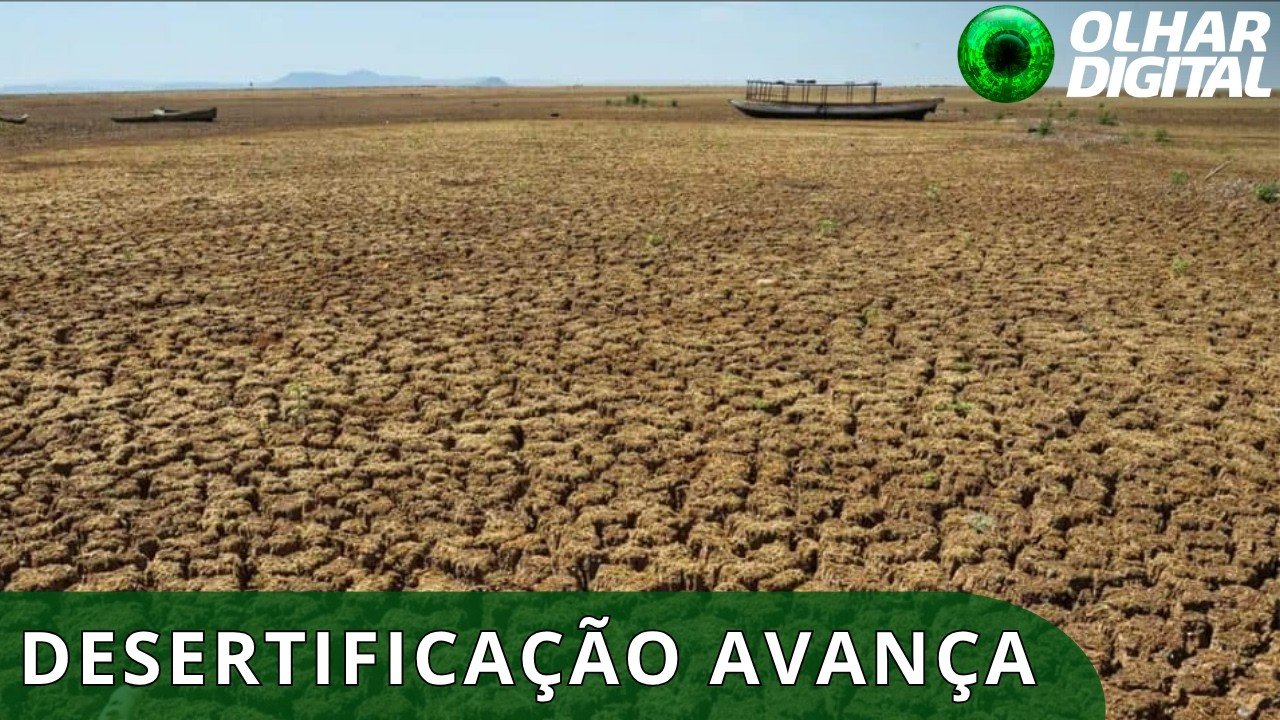 Desertificação do solo ameaça cerca de 39 milhões de pessoas no Brasil