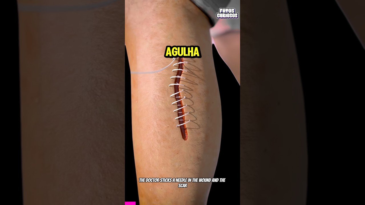 É ASSIM QUE OS PONTOS FUNCIONAM