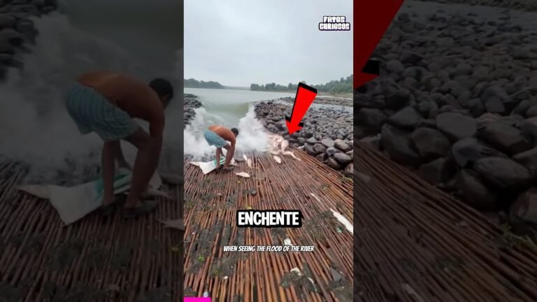 ELE DEIXOU SEUS VIZINHOS DE BOCA ABERTA COM SUA BARRAGEM CASEIRA