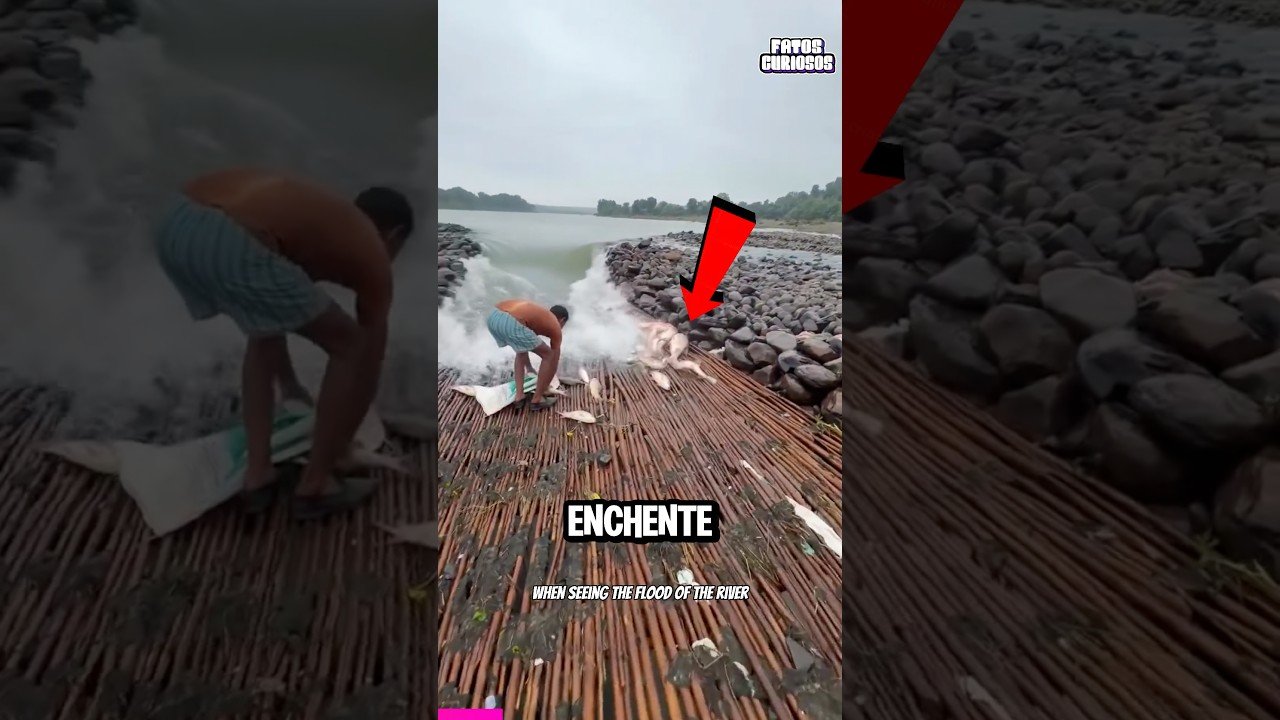 ELE DEIXOU SEUS VIZINHOS DE BOCA ABERTA COM SUA BARRAGEM CASEIRA