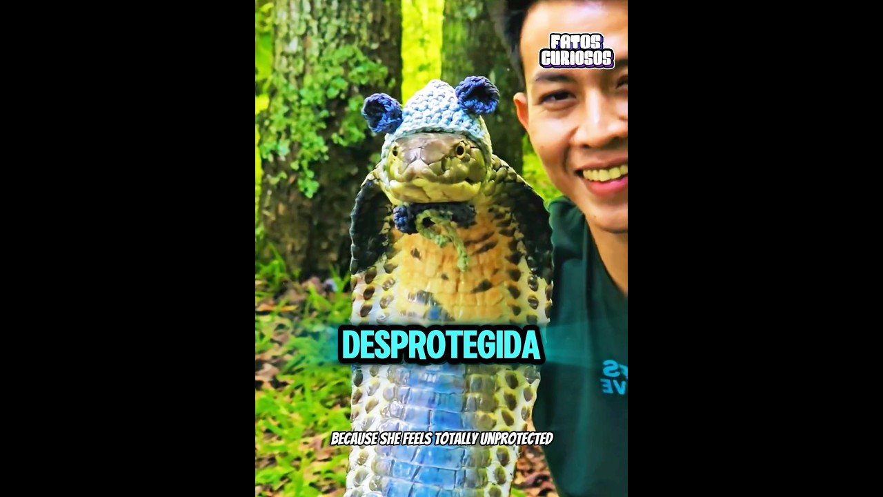ESSE HOMEM DEU UM BEIJO EM SUA COBRA