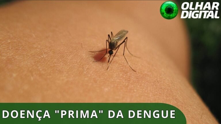 Febre do Nilo Ocidental deixa autoridades brasileiras em alerta