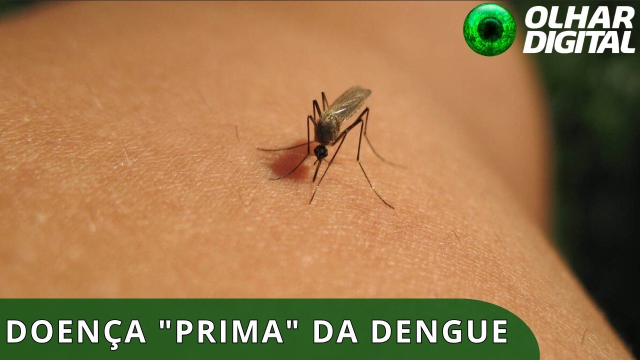Febre do Nilo Ocidental deixa autoridades brasileiras em alerta