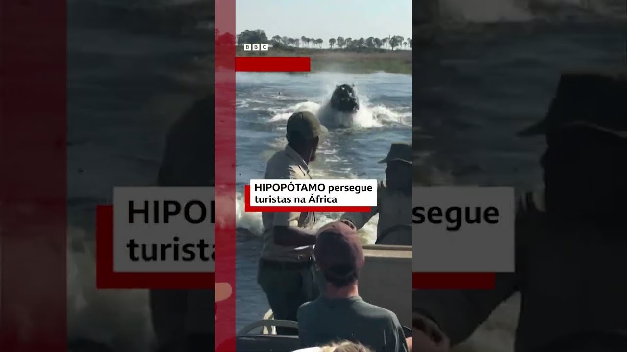Hipopótamo V1