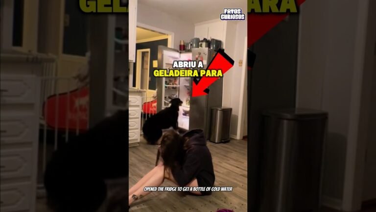 ESSE CACHORRO ATUOU COMO UM VERDADEIRO HERÓI NO MOMENTO CERTO! 🤯 #shorts #viral