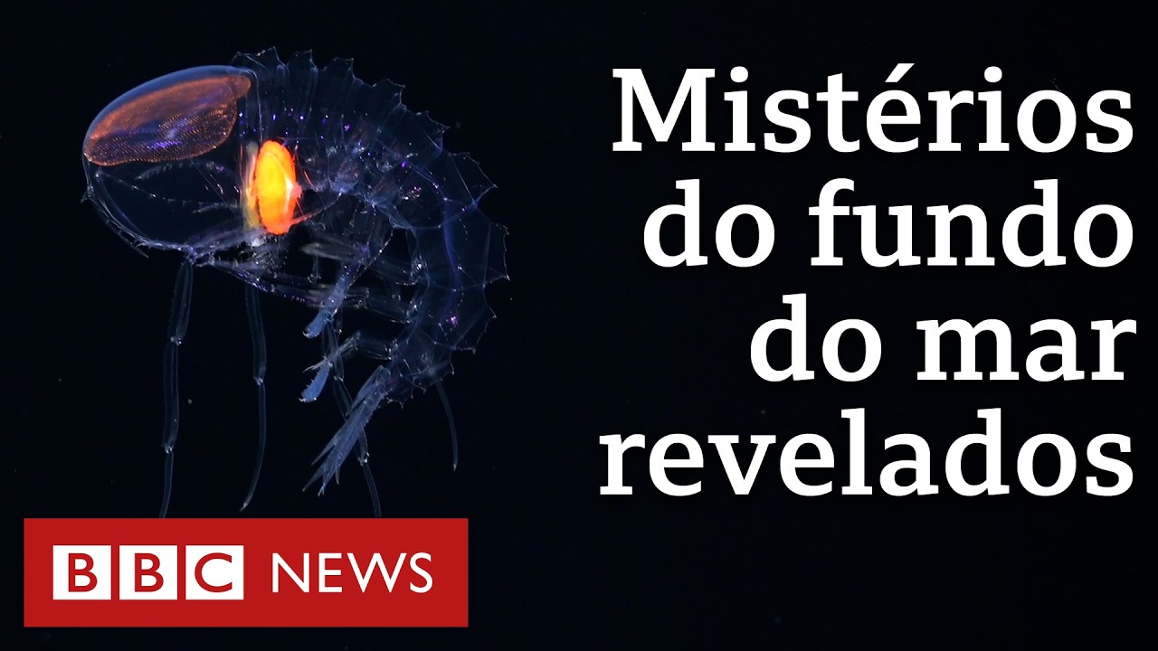 O que uma expedição científica descobriu no fundo do mar perto da costa brasileira