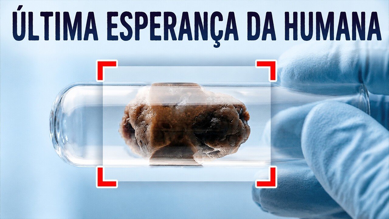 Por que os cientistas querem 10.000 amostras de fezes até 2029?