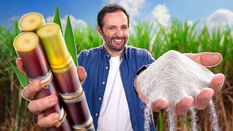 Transformamos CALDO DE CANA em AÇÚCAR!