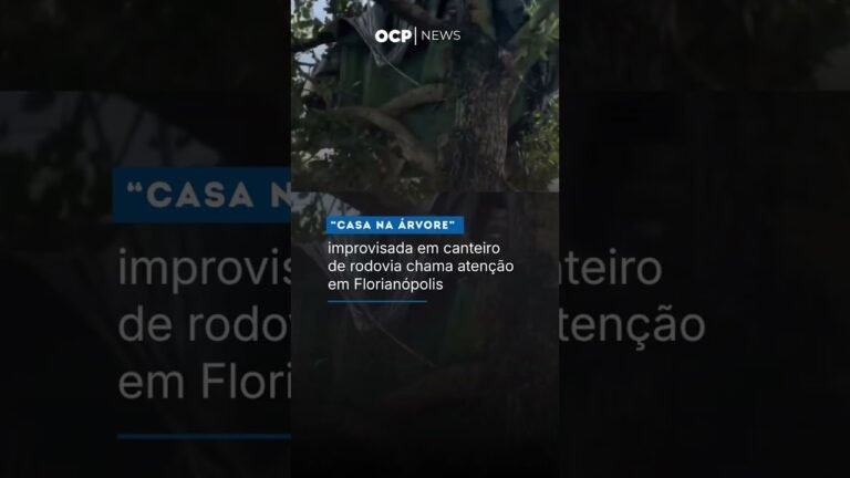 “Casa na árvore” improvisada em canteiro de rodovia chama atenção em Florianópolis