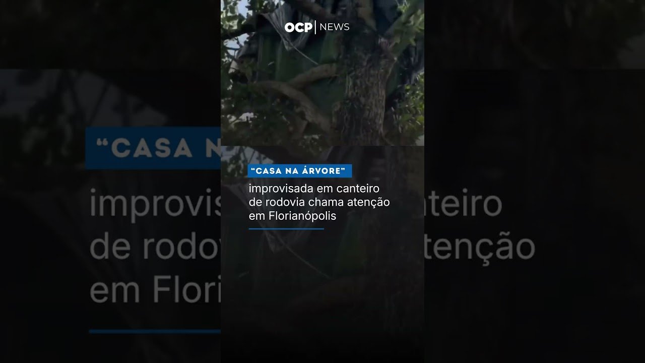 “Casa na árvore” improvisada em canteiro de rodovia chama atenção em Florianópolis