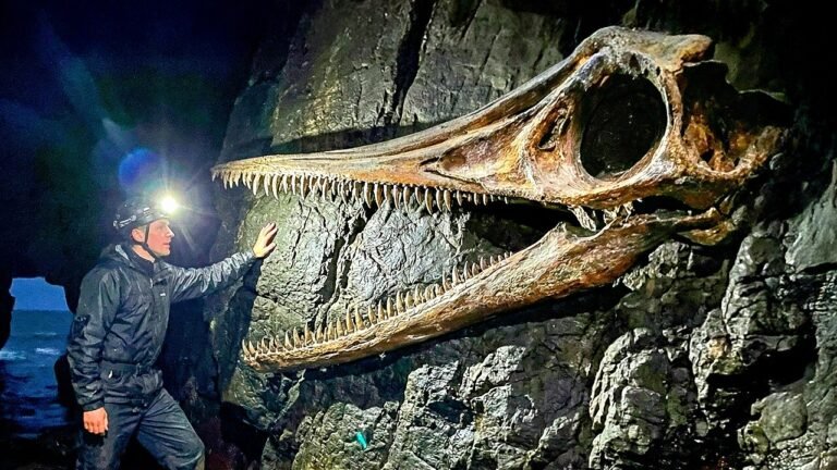 Paleontólogos encontraram uma criatura misteriosa que não correspondia a nenhuma espécie conhecida