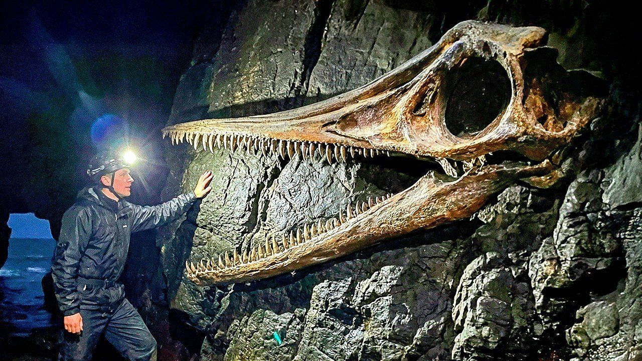 Paleontólogos encontraram uma criatura misteriosa que não correspondia a nenhuma espécie conhecida
