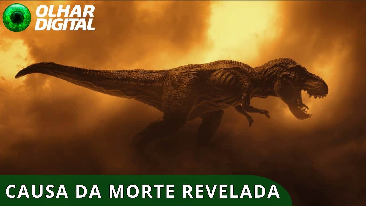 Autópsia de 66 milhões de anos revela como maior T. rex do mundo morreu