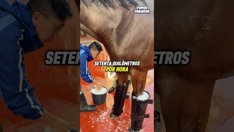 É POR ISSO QUE ELES MERGULHAM O CASCO DOS CAVALOS NO GELO 🧊