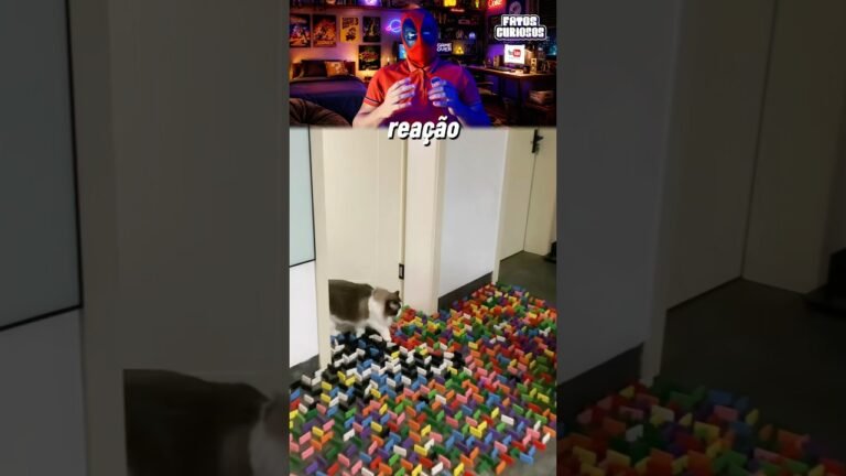 ELE DESAFIOU SEU GATO E ISSO ACONTECEU! 🤯
