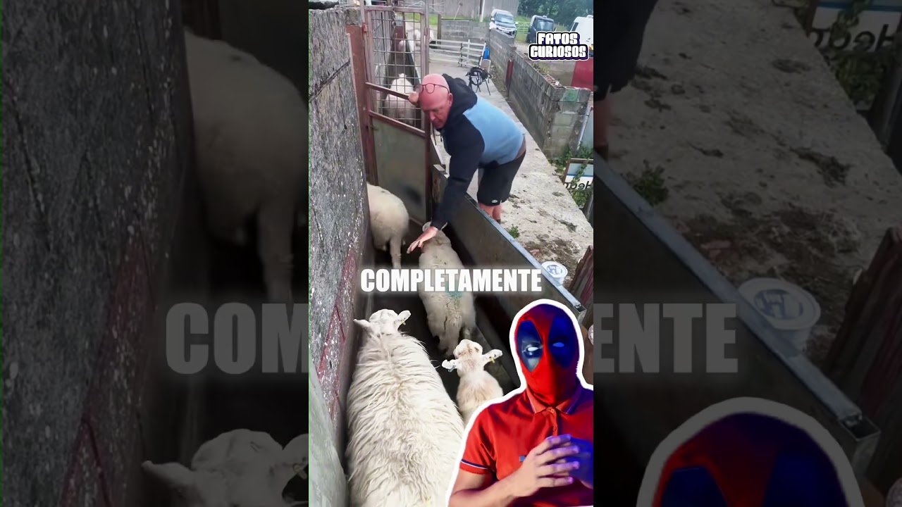 ESSE ERRO CUSTOU TODO O SEU DIA DE TRABALHO