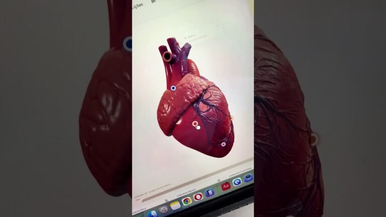 Esse site vai te ensinar anatomia de graça