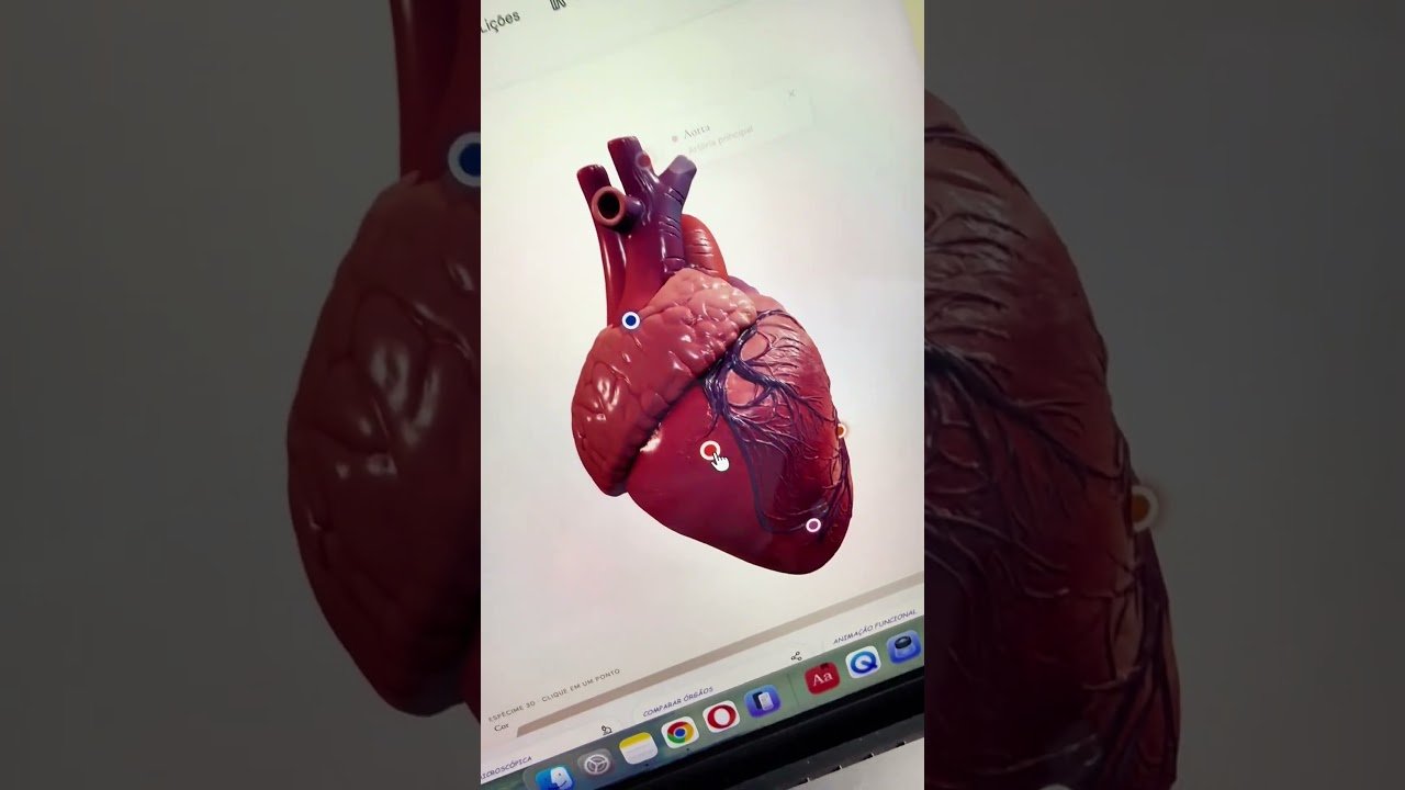 Esse site vai te ensinar anatomia de graça