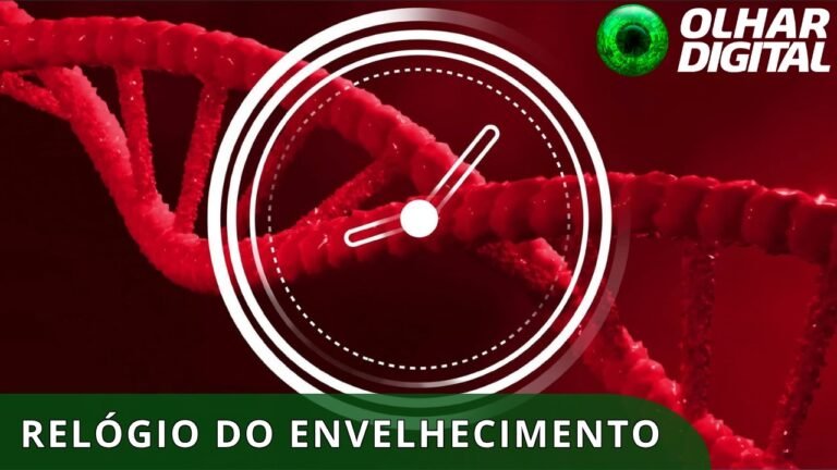 IA ajuda a criar remédio que reduz sinais do envelhecimento