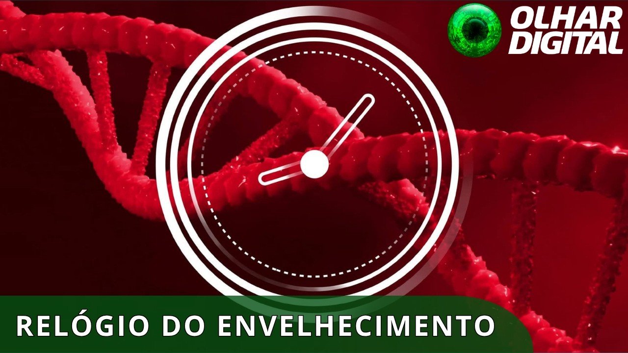 IA ajuda a criar remédio que reduz sinais do envelhecimento