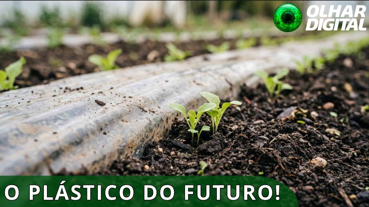 Pesquisadores criam plástico que pode virar fertilizante depois do uso