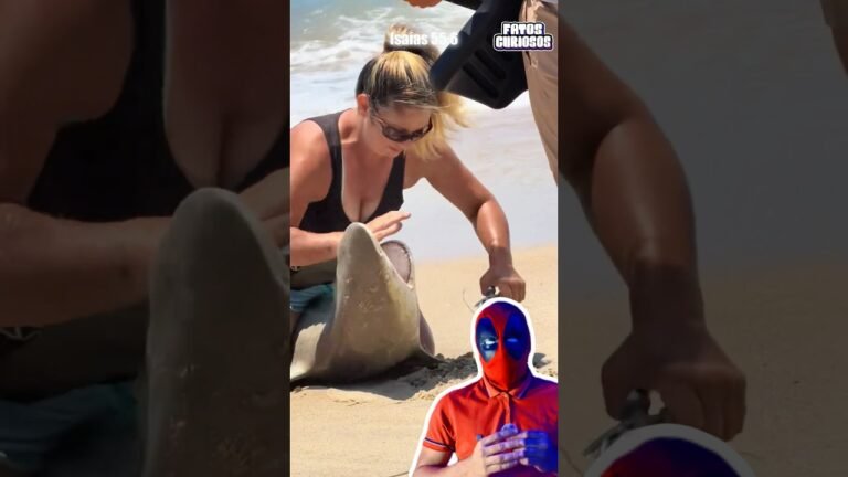 NINGUÉM QUERIA CHEGAR PERTO DESSE TUBARÃO ATÉ ESSA MULHER IMPRESSIONAR A TODOS