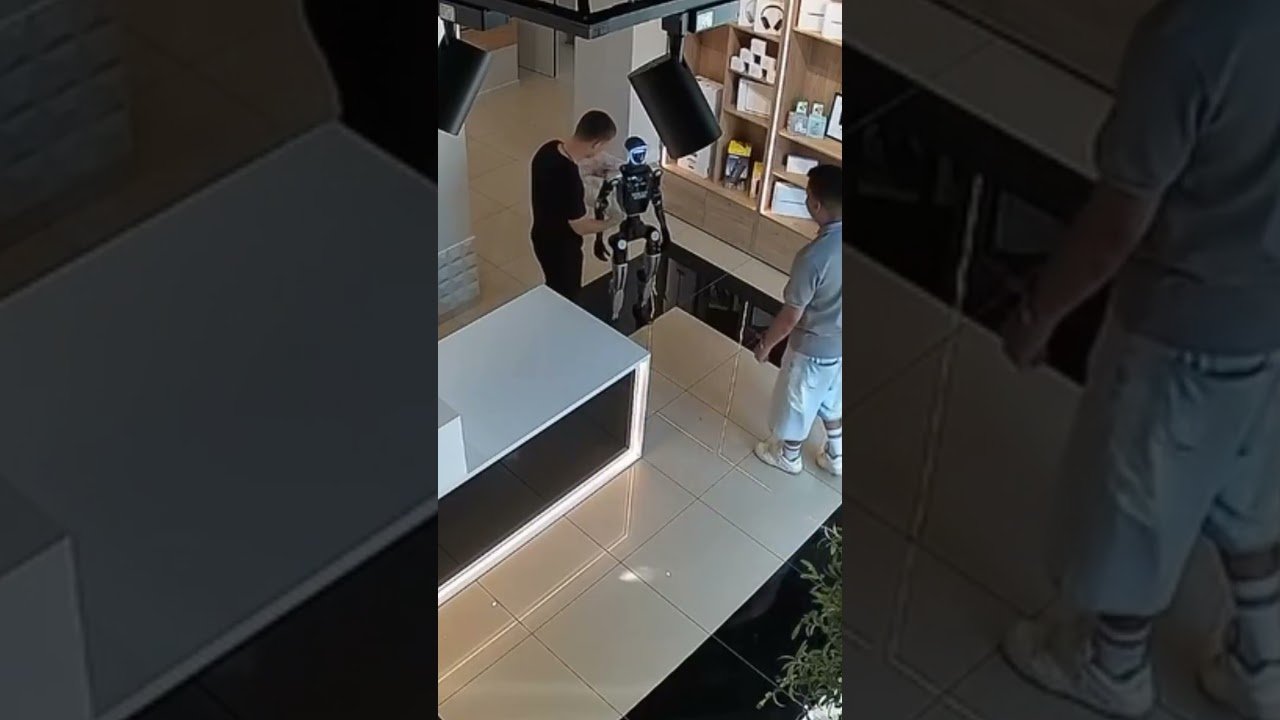 Robô se defende após ser empurrado por homem na Rússia