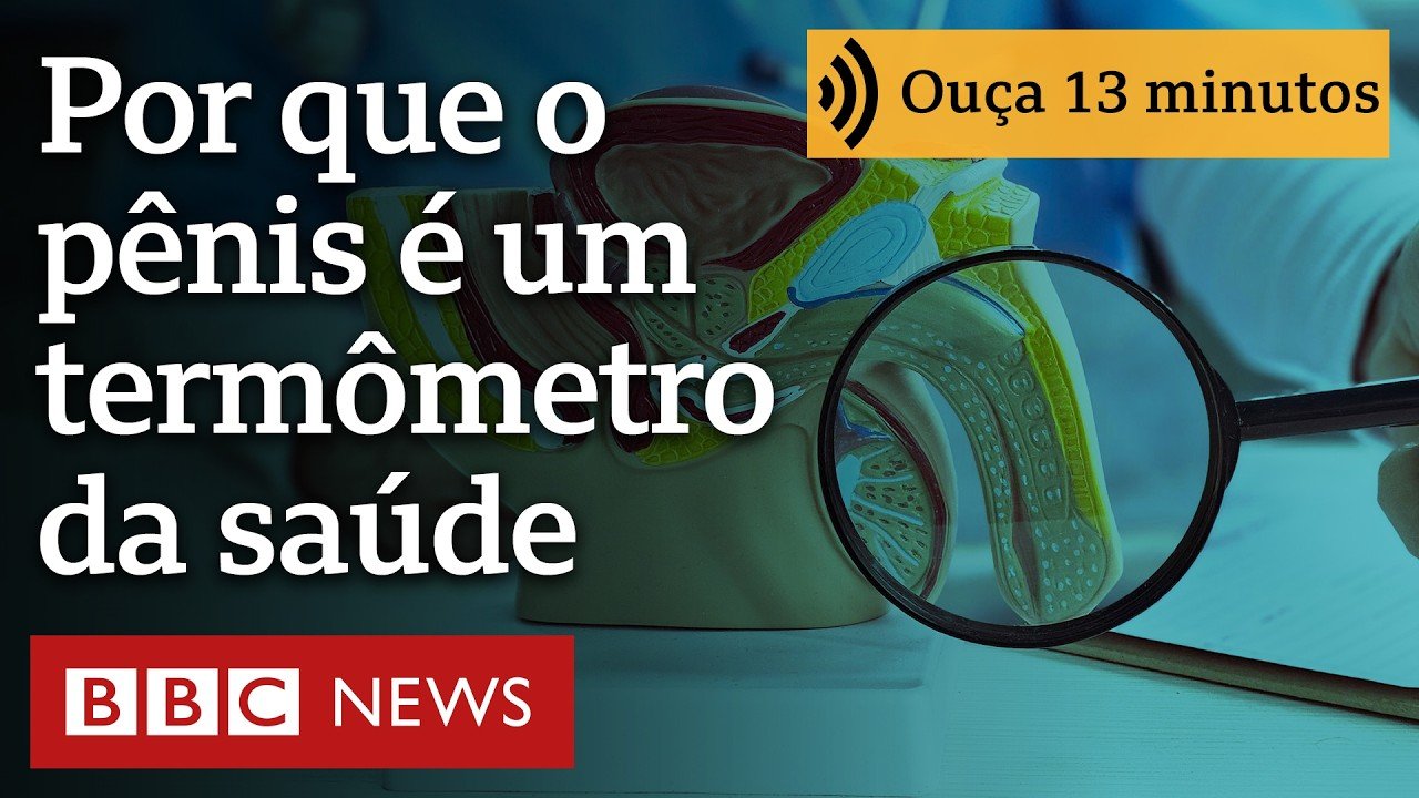 Por que o pênis é um termômetro da saúde masculina — e como prestar atenção em seus sinais de alerta